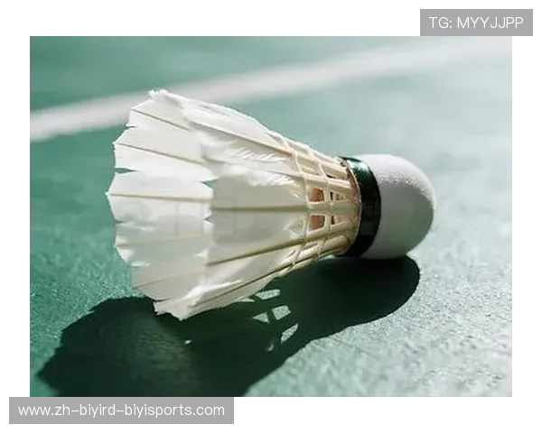 羽毛球特写照片 羽毛球特写照片